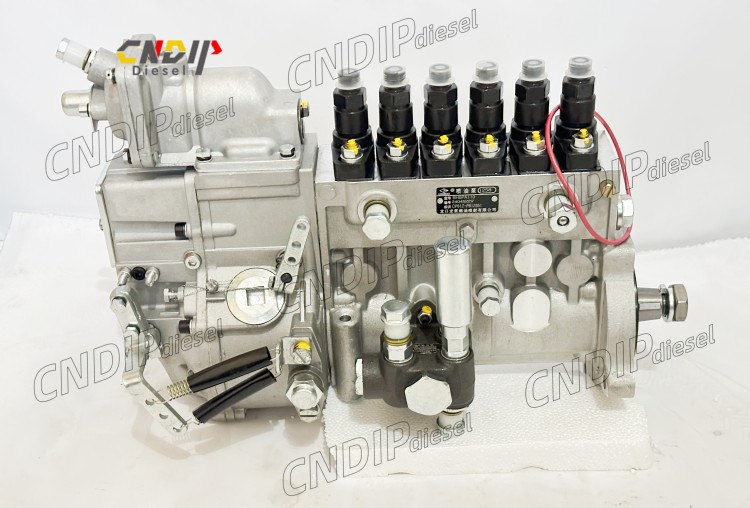 CNDIP Diesel Fuel Injection BH6PA110 Pump for C6121 Engine